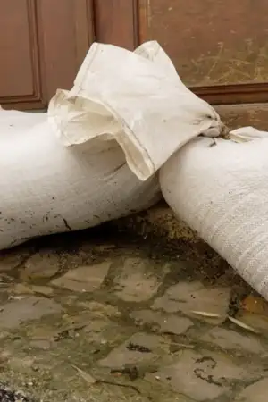 Subida do Mondego força moradores da Várzea, em Soure, a proteger as casas